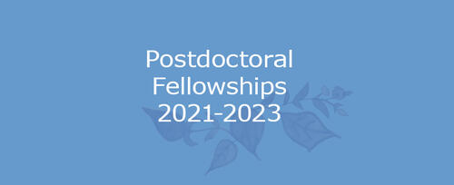 Announcing Postdoctoral Fellowships 2021-2023
