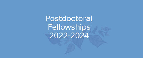 Announcing Postdoctoral Fellowships 2021–2023