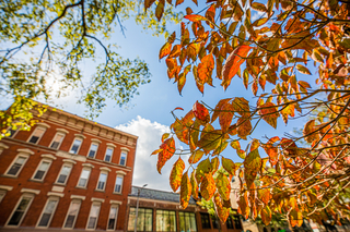 Campus in autumn
